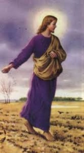 seminatore
