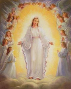 immacolata