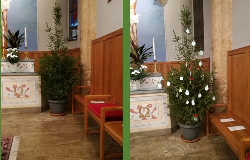 albero