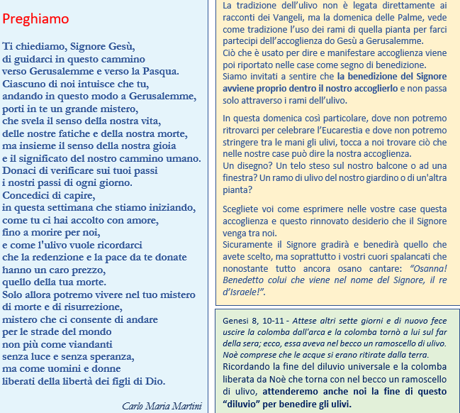 domenica delle Palme 2020A