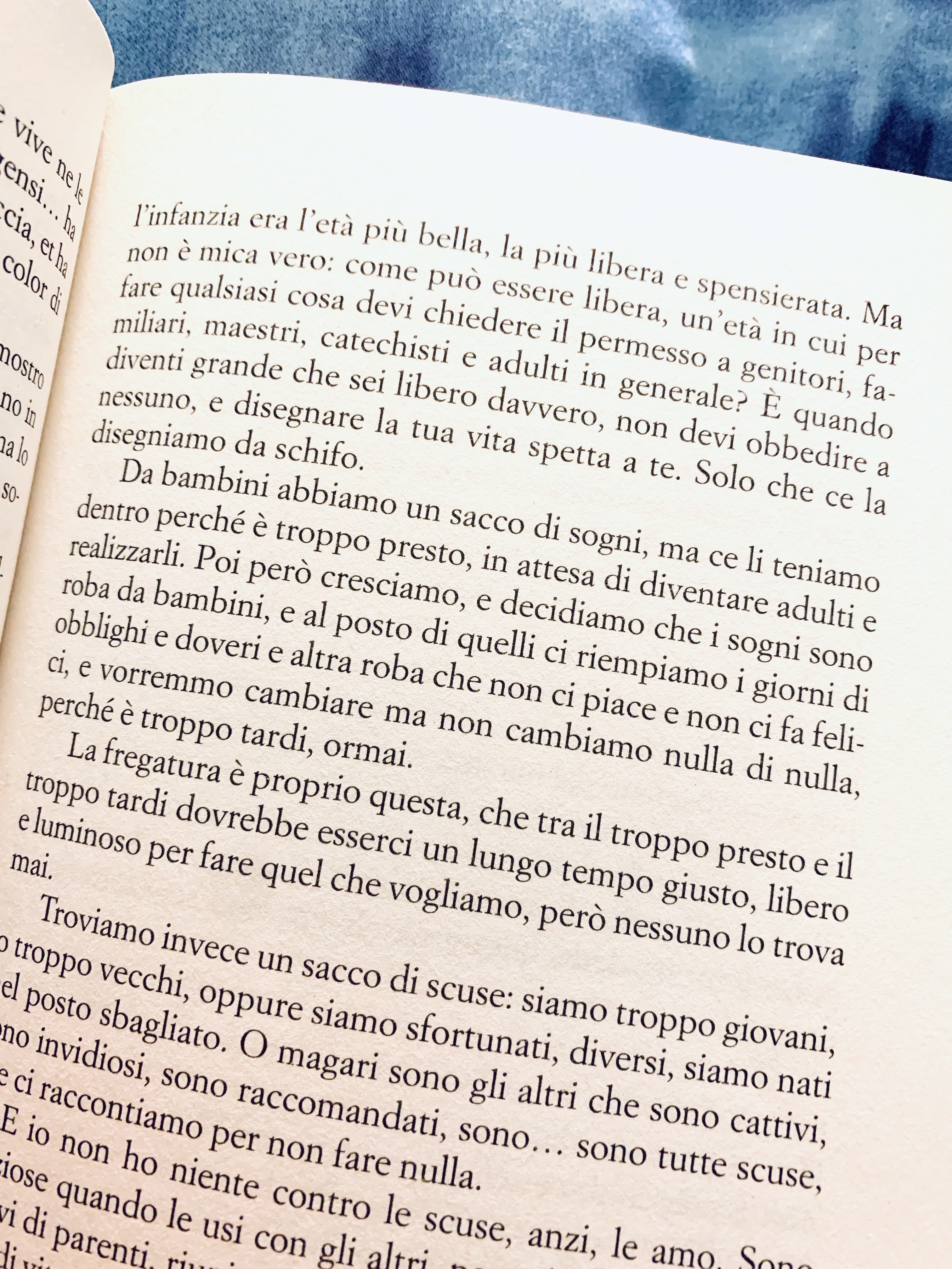 il calamaro gigante
