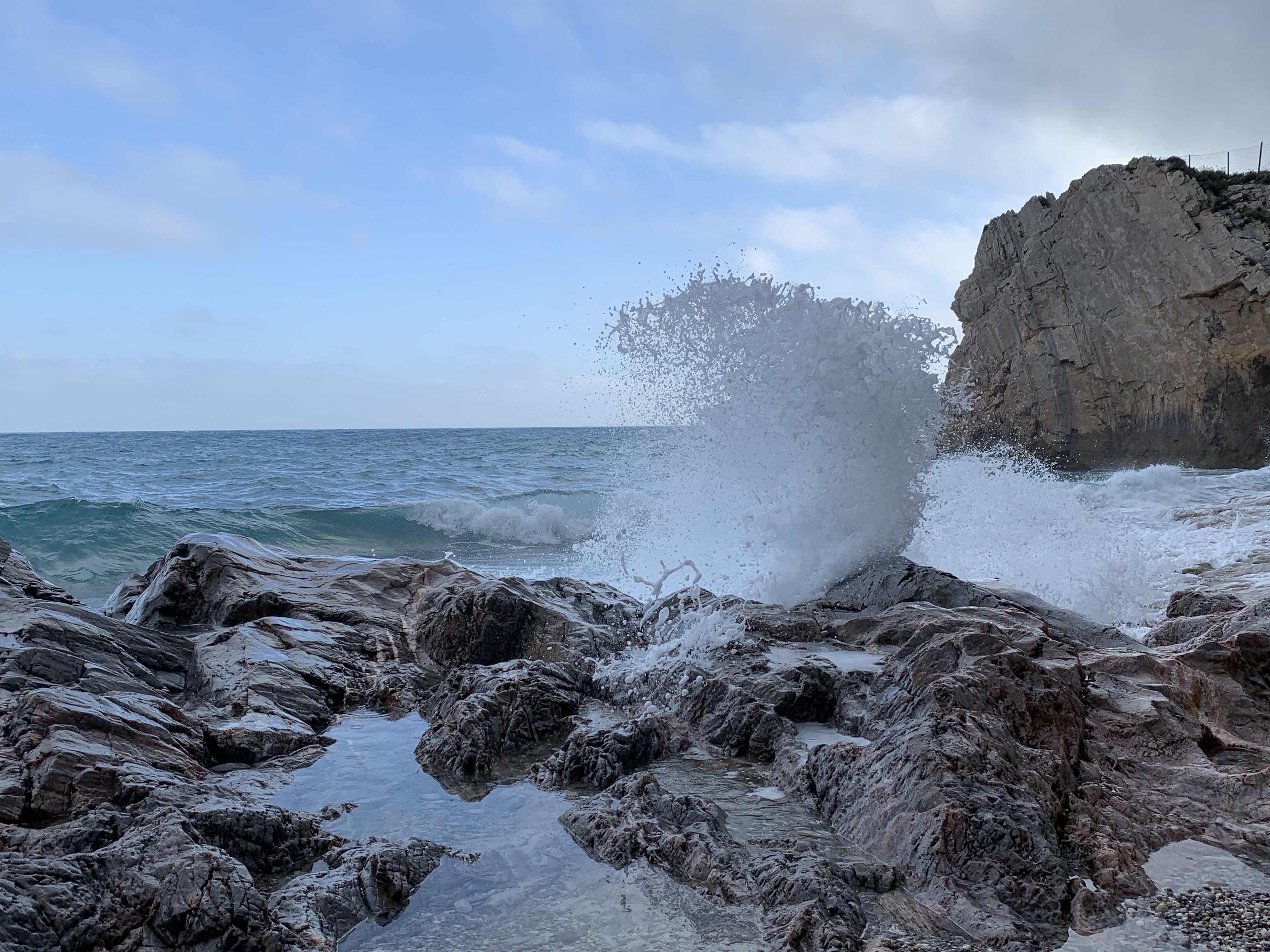 mare