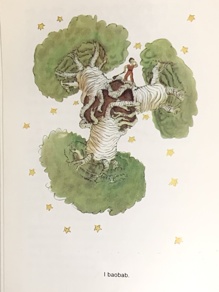 Ora, un baobab, se si arriva troppo tardi, non si riesce più a sbarazzarsene. 