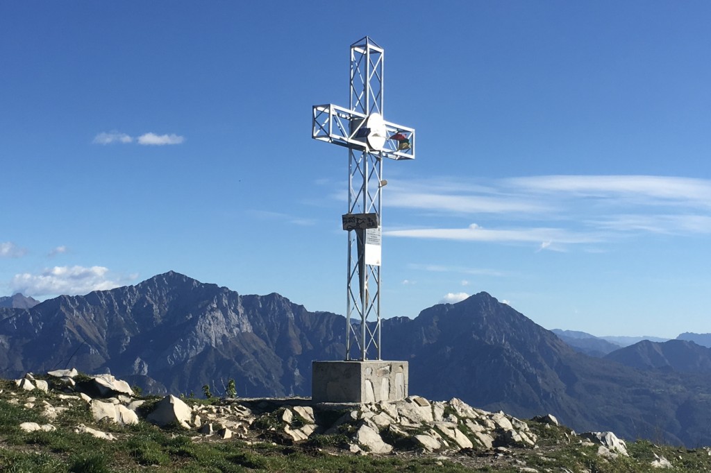 A te, Signore Dio, sono rivolti i miei occhi; in te mi rifugio,